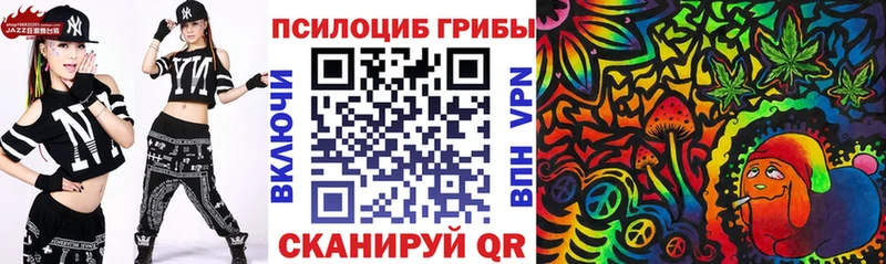 Галлюциногенные грибы мицелий  Заполярный 